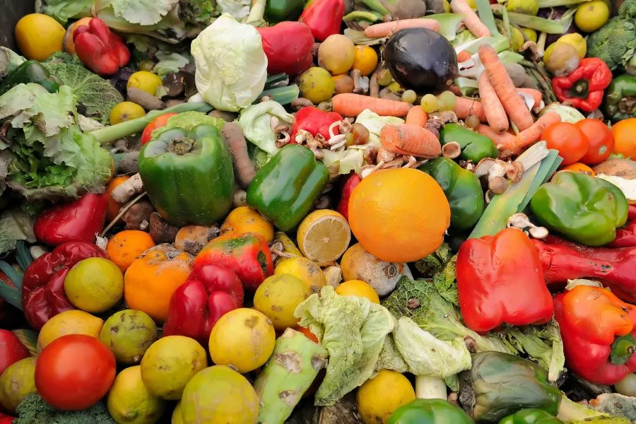 A collection of vegetable food waste.